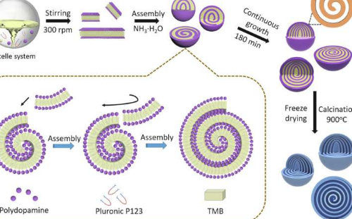 层状胶束螺旋自组装成具有独特手性结构的多壳空心纳米球