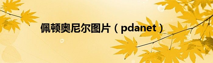 佩顿奥尼尔图片（pdanet）