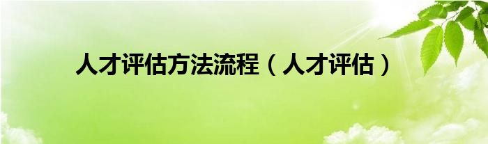 人才评估方法流程（人才评估）