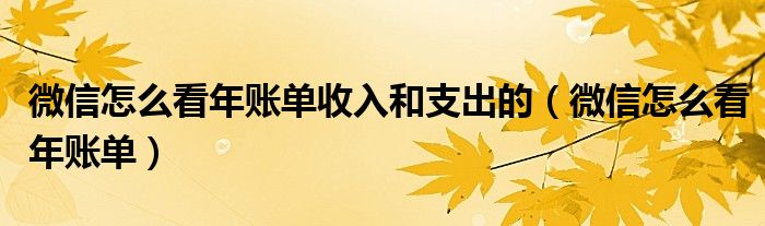 微信怎么看年账单收入和支出的（微信怎么看年账单）