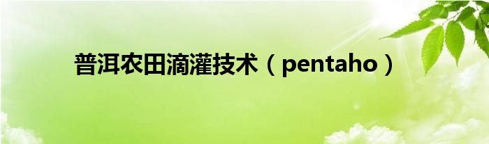 普洱农田滴灌技术（pentaho）