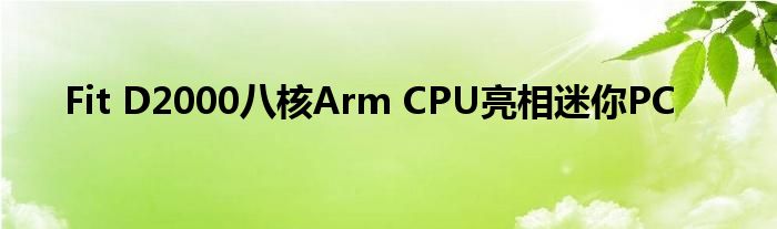 Fit D2000八核Arm CPU亮相迷你PC