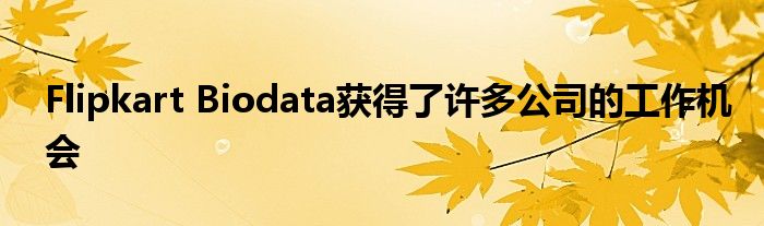 Flipkart Biodata获得了许多公司的工作机会