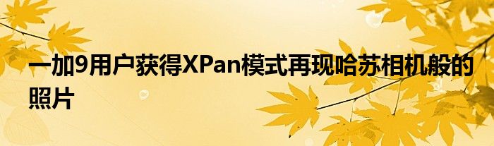 一加9用户获得XPan模式再现哈苏相机般的照片