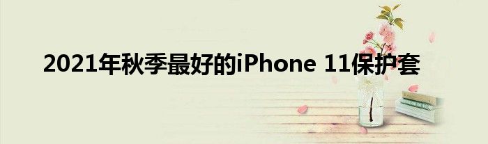 2021年秋季最好的iPhone 11保护套