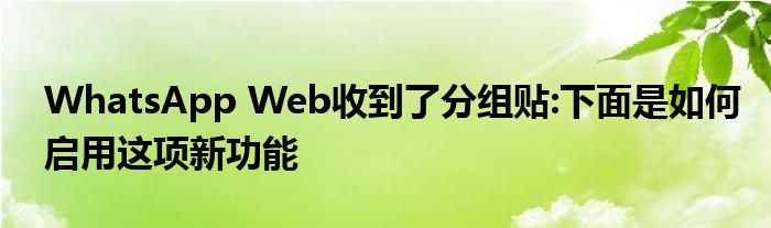 WhatsApp Web收到了分组贴:下面是如何启用这项新功能