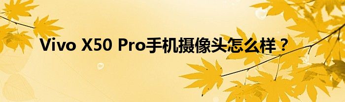 Vivo X50 Pro手机摄像头怎么样？