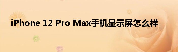 iPhone 12 Pro Max手机显示屏怎么样