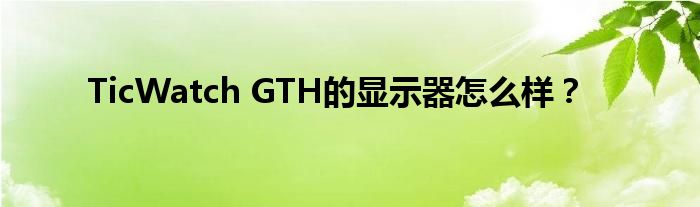 TicWatch GTH的显示器怎么样？