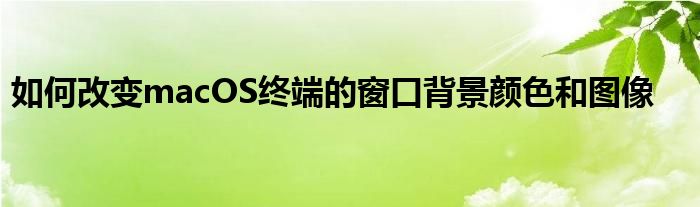 如何改变macOS终端的窗口背景颜色和图像