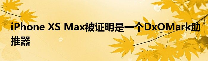 iPhone XS Max被证明是一个DxOMark助推器