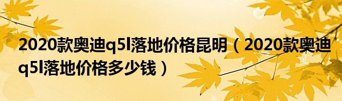 2020款奥迪q5l落地价格昆明（2020款奥迪q5l落地价格多少钱）