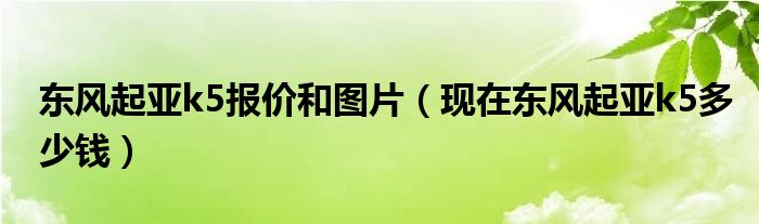 东风起亚k5报价和图片（现在东风起亚k5多少钱）