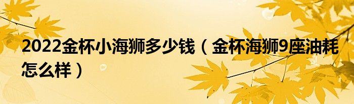 2022金杯小海狮多少钱（金杯海狮9座油耗怎么样）