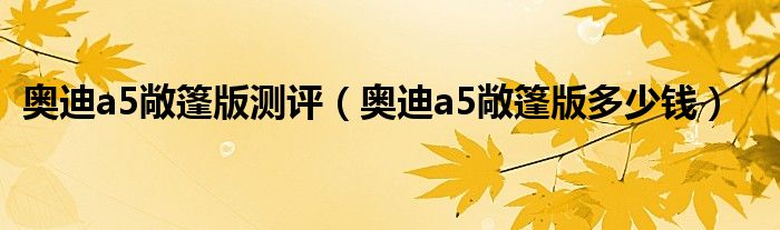 奥迪a5敞篷版测评（奥迪a5敞篷版多少钱）