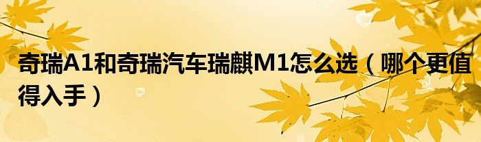 奇瑞A1和奇瑞汽车瑞麒M1怎么选（哪个更值得入手）