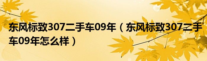 东风标致307二手车09年（东风标致307二手车09年怎么样）