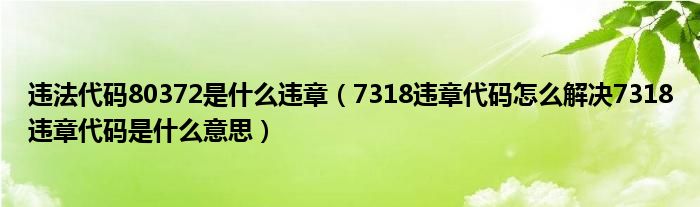 违法代码80372是什么违章（7318违章代码怎么解决7318违章代码是什么意思）