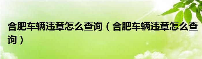 合肥车辆违章怎么查询（合肥车辆违章怎么查询）