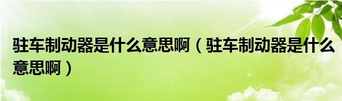 驻车制动器是什么意思啊（驻车制动器是什么意思啊）