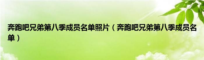 奔跑吧兄弟第八季成员名单照片（奔跑吧兄弟第八季成员名单）