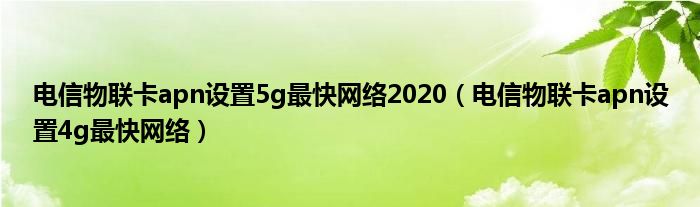 电信物联卡apn设置5g最快网络2020（电信物联卡apn设置4g最快网络）