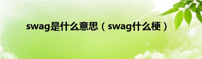 swag是什么意思（swag什么梗）