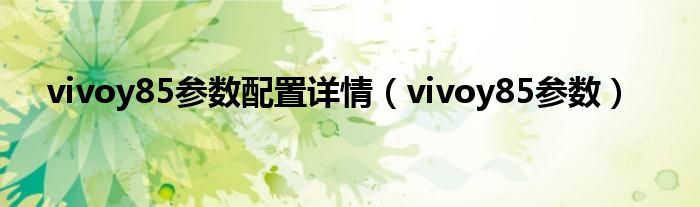 vivoy85参数配置详情（vivoy85参数）