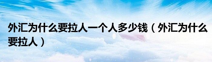 外汇为什么要拉人一个人多少钱（外汇为什么要拉人）