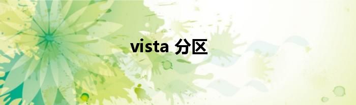 vista 分区