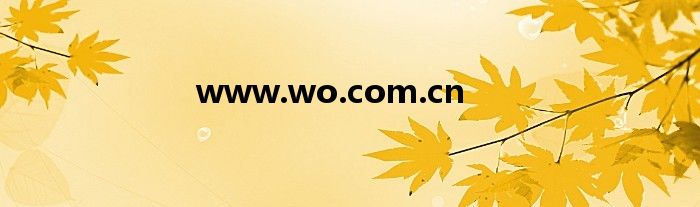 www.wo.com.cn