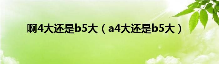 啊4大还是b5大（a4大还是b5大）