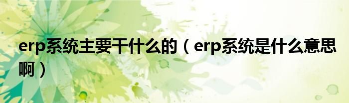 erp系统主要干什么的（erp系统是什么意思啊）