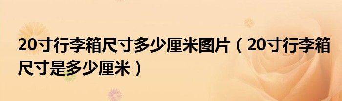 20寸行李箱尺寸多少厘米图片（20寸行李箱尺寸是多少厘米）