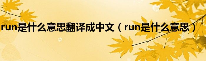 run是什么意思翻译成中文（run是什么意思）