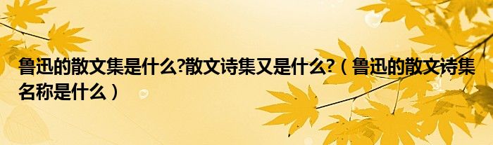 鲁迅的散文集是什么?散文诗集又是什么?（鲁迅的散文诗集名称是什么）