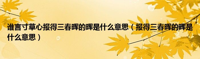 谁言寸草心报得三春晖的晖是什么意思（报得三春晖的晖是什么意思）