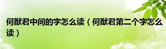 何猷君中间的字怎么读（何猷君第二个字怎么读）