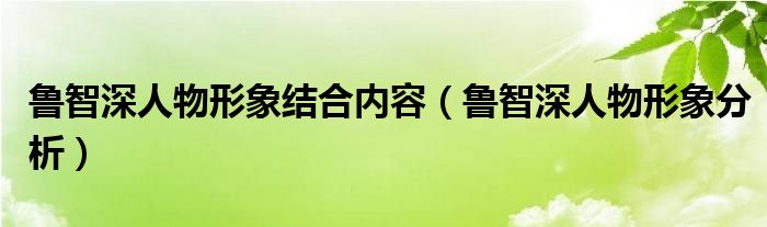 鲁智深人物形象结合内容（鲁智深人物形象分析）