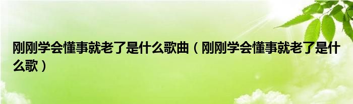 刚刚学会懂事就老了是什么歌曲（刚刚学会懂事就老了是什么歌）