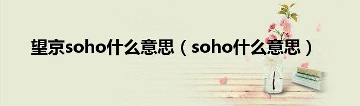 望京soho什么意思（soho什么意思）