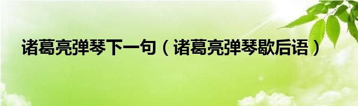 诸葛亮弹琴下一句（诸葛亮弹琴歇后语）