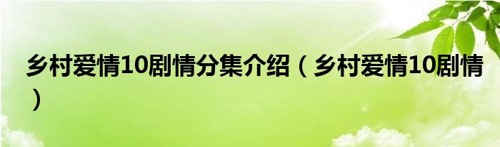 乡村爱情10剧情分集介绍（乡村爱情10剧情）