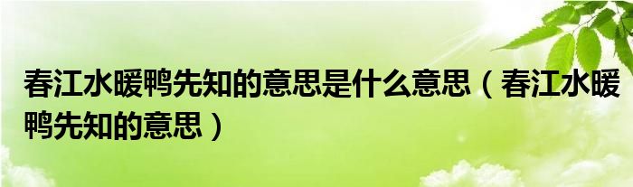 春江水暖鸭先知的意思是什么意思（春江水暖鸭先知的意思）