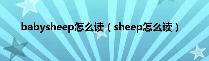 babysheep怎么读（sheep怎么读）