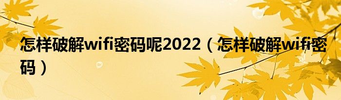 怎样破解wifi密码呢2022（怎样破解wifi密码）