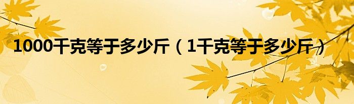 1000千克等于多少斤（1千克等于多少斤）