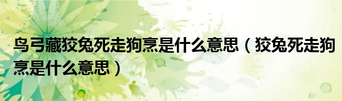 鸟弓藏狡兔死走狗烹是什么意思（狡兔死走狗烹是什么意思）