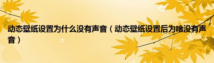 动态壁纸设置为什么没有声音（动态壁纸设置后为啥没有声音）