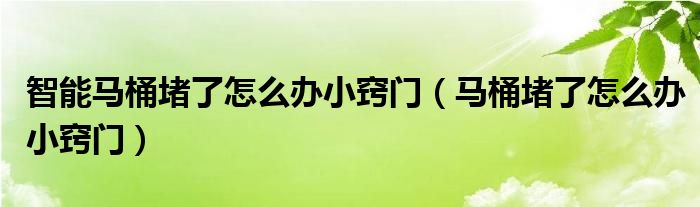 智能马桶堵了怎么办小窍门（马桶堵了怎么办小窍门）